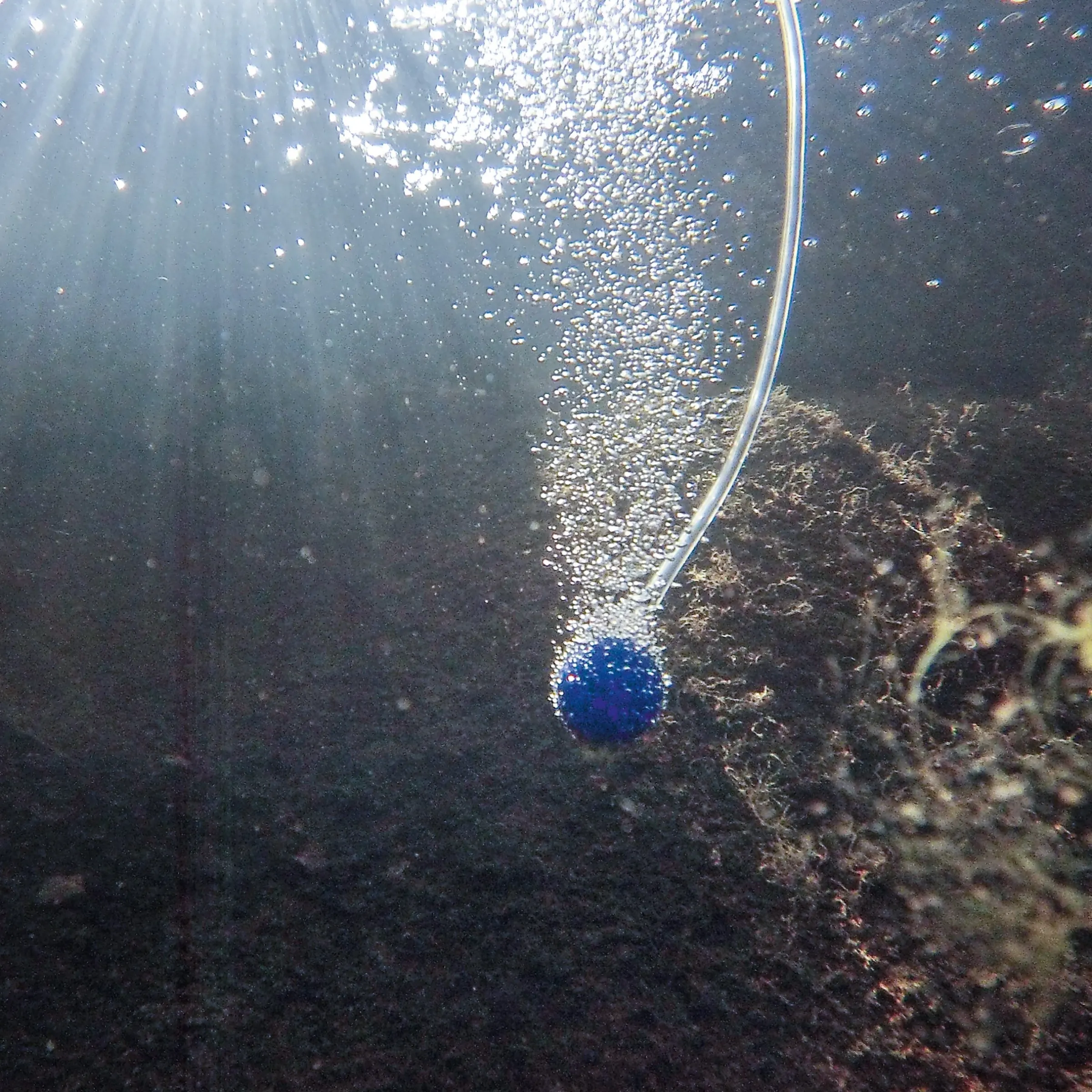Schwimmender Solar Teichbelüfter 1,8/120