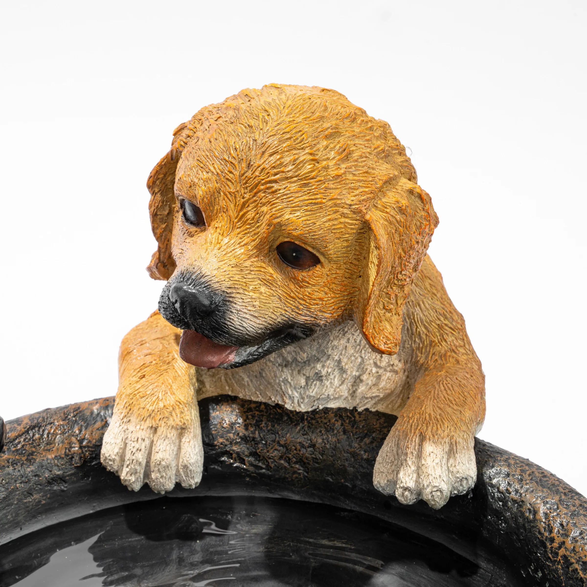 Solarbrunnen Hundewelpen Milo und Buddy am Brunnen mit LED Licht