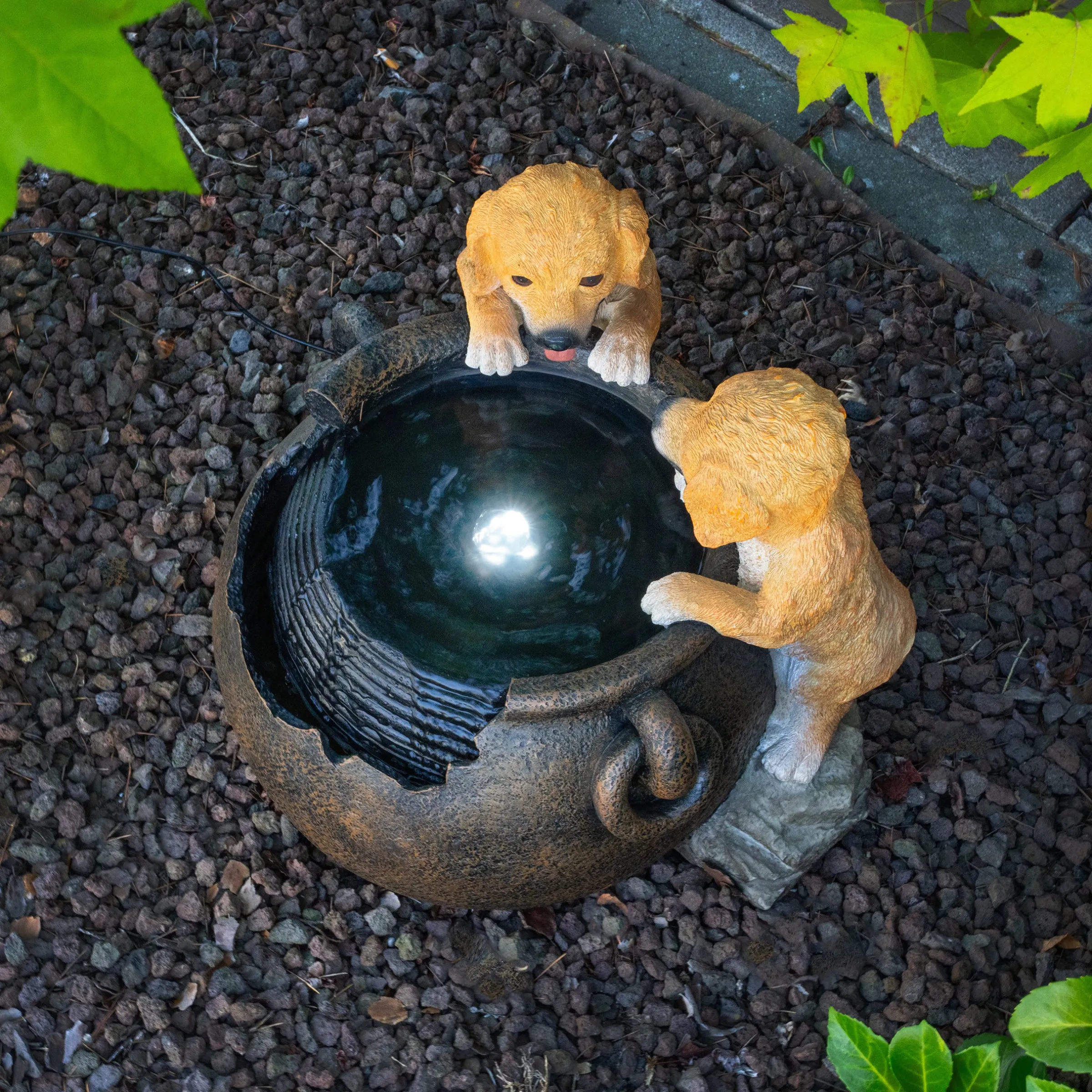 Solarbrunnen Hundewelpen Milo und Buddy am Brunnen mit LED Licht