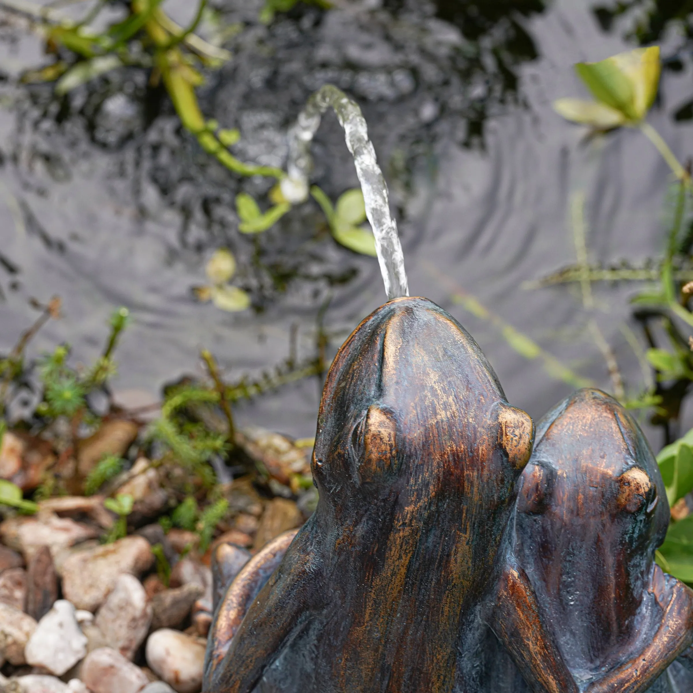 Solar Wasserspeier-Set Froschpaar