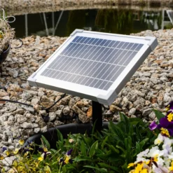 Solar Wasserspeier-Set liegender Frosch Pepe