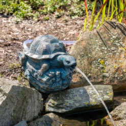 Solar Wasserspeier-Set Schildkröte Marlies