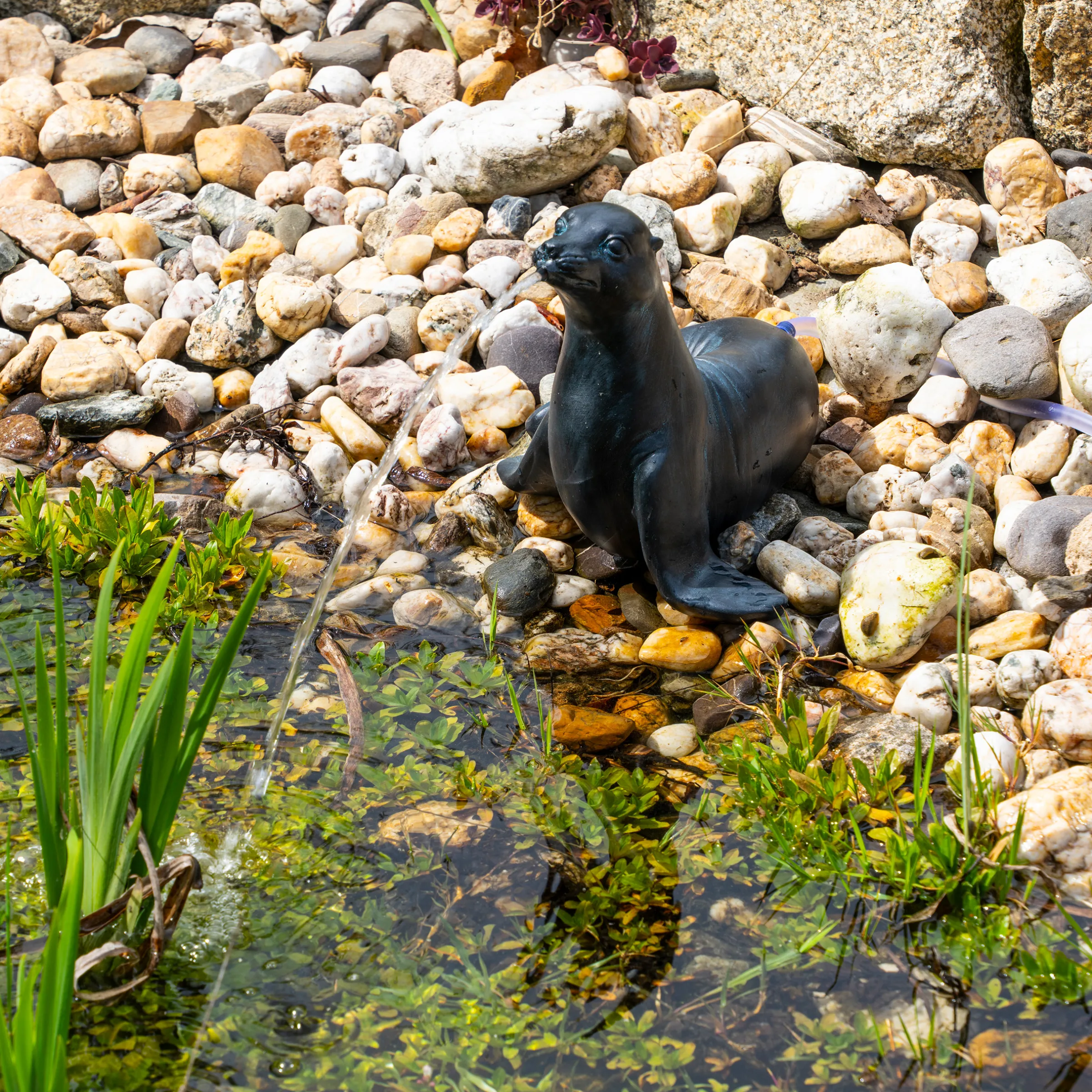 Solar Wasserspeierset Seehund Sammy