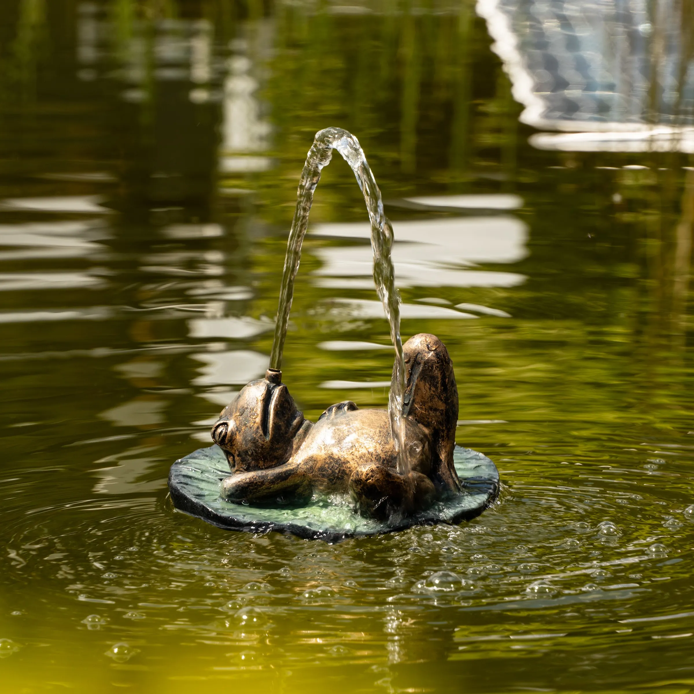 Solar Wasserspeier-Set treibender Frosch auf Seerosenblatt