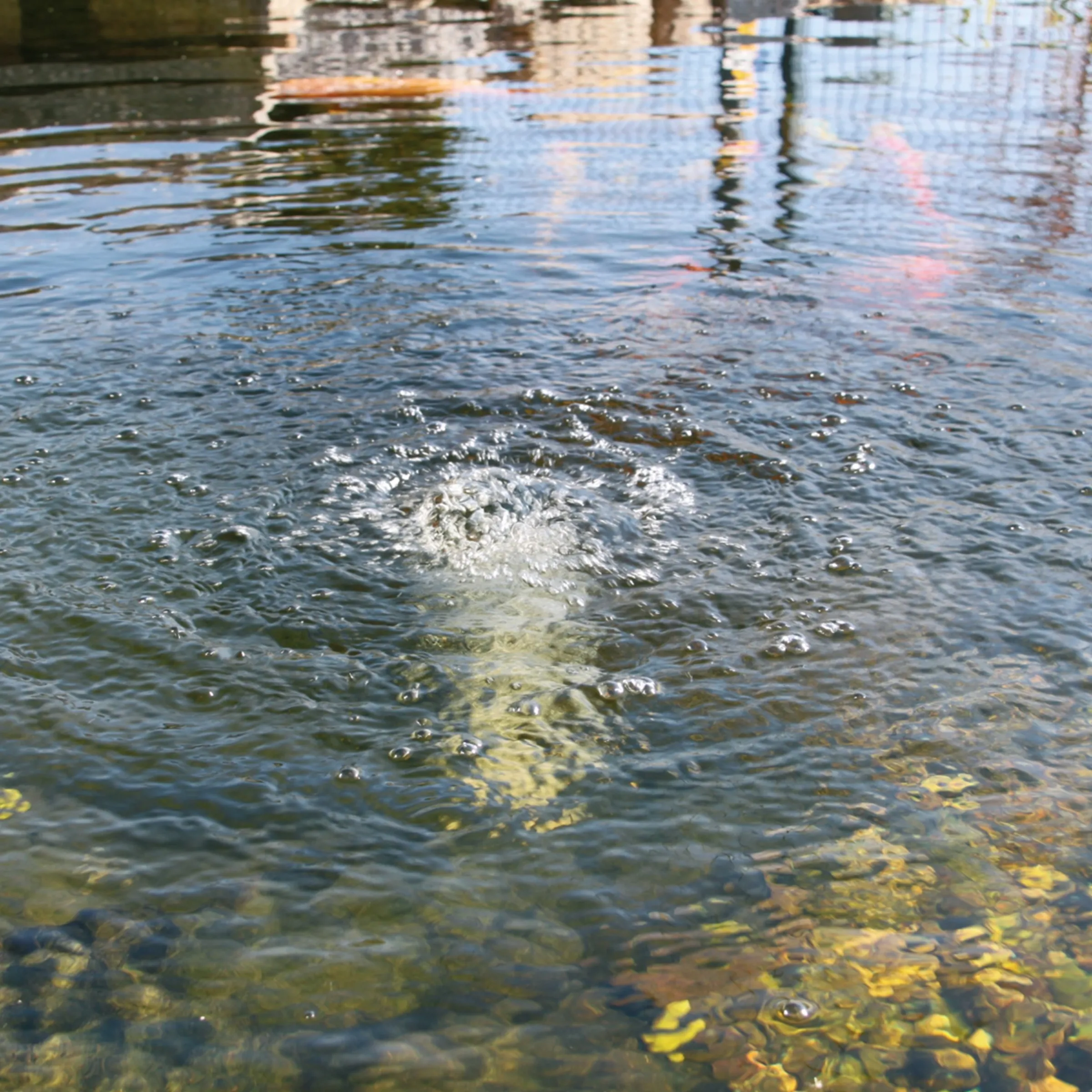 Teichbelüfterpumpe Air-S 120 l/h